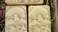 Wild Mushroom Soap Set